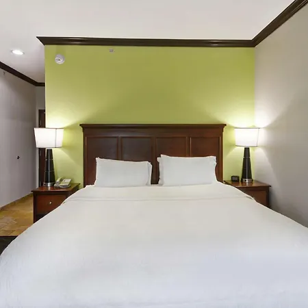 Hampton Inn & Suites San Antonio/Northeast I-35-3